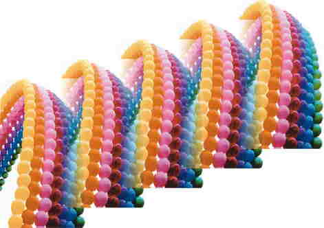 Luftballons Girlanden Regenbogen, Regenbogen Ballongirlanden, Dekoration Luftballons