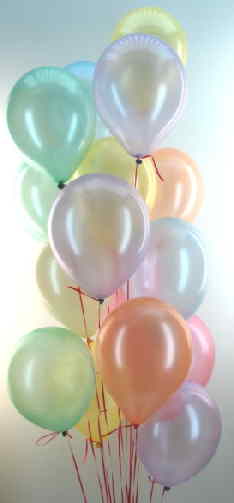 Luftballontraube Perlmutt