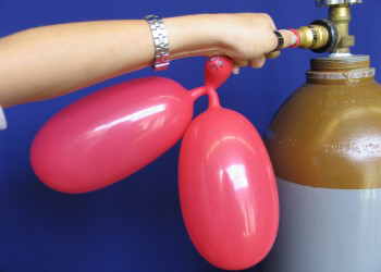 Luftballonfiguren Ohren aufblasen Luftballonfiguren Ohren aufblasen