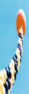 luftballonsäule