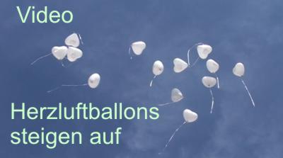 weisse herzluftballons steigen auf